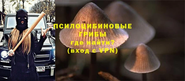 jwh Богородицк