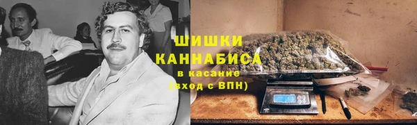 экстази Богданович