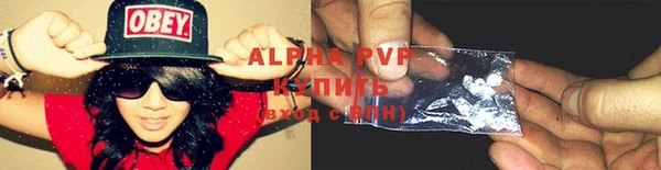 экстази Богданович