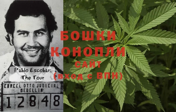 экстази Богданович