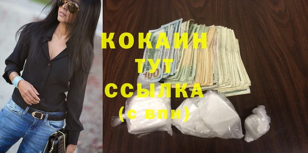 спиды Богородск