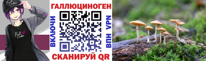 Галлюциногенные грибы Magic Shrooms  наркота  Сланцы 